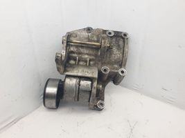 KIA Sorento Napinacz paska wielorowkowego / Alternatora 252814A000