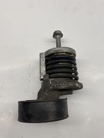 Volkswagen PASSAT B7 Napinacz paska alternatora 038903315AH