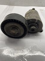 Volkswagen Jetta III Napinacz paska alternatora 07K903315G