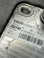 Volvo XC60 Engine oil radiator 31325045