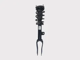 Alfa Romeo Giulia Front shock absorber with coil spring 50546463