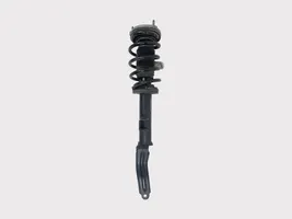 Alfa Romeo Giulia Front shock absorber with coil spring 50546462