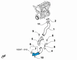 Fiat 124 Spider Välijäähdyttimen letku 6000612008