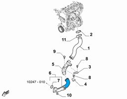 Fiat 124 Spider Välijäähdyttimen letku 6000612008