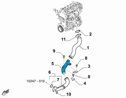 Fiat 124 Spider Välijäähdyttimen letku 6000612006