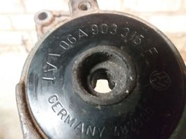 Volkswagen Golf V Napinacz paska wielorowkowego / Alternatora 06A903315F