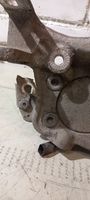 Audi A6 S6 C6 4F Mozzo portante ruota posteriore (usato) 4F0505434E