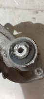 Audi A6 S6 C6 4F Mozzo portante ruota posteriore (usato) 4F0505434E