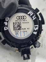 Audi A4 S4 B8 8K Altoparlante ad alta frequenza portiera anteriore 8R0035399A