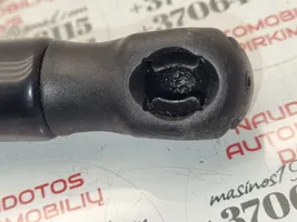 Audi A6 S6 C6 4F Ammortizzatore portellone anteriore/cofano 4F0823359A