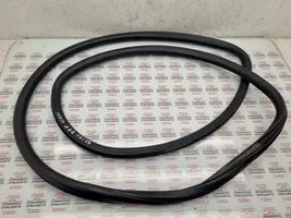 Seat Toledo III (5P) Front door rubber seal 5P0867365D