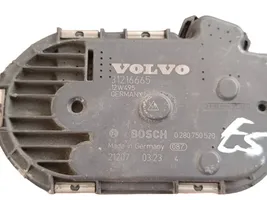 Volvo V70 Valvola corpo farfallato 31216665