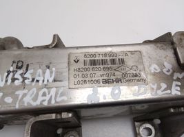 Nissan X-Trail T31 EGR-venttiili/lauhdutin 8200719993A