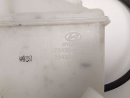 Hyundai ix20 Coolant expansion tank/reservoir 254301P000