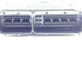 KIA Carens III Sterownik / Moduł ECU 391252A410