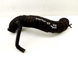 KIA Rio Intercooler hose/pipe 281381R200