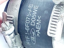 Ford Grand C-MAX Interkūlerio žarna (-os)/ vamzdelis (-iai) F1F16F075A