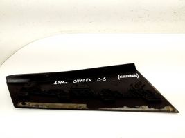 Citroen C5 Rear fender molding trim 9684083377