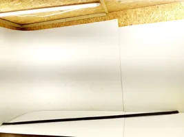 Toyota Verso Dekoratīva jumta lenta – "moldings" 