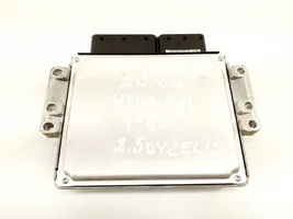 Hyundai H-1, Starex, Satellite Sterownik / Moduł ECU 391014A101