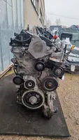 Toyota RAV 4 (XA40) Silnik / Komplet 1AD
