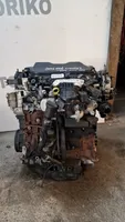 Ford Kuga II Motor AV4Q6007BE