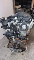 Ford Kuga II Motor AV4Q6007BE