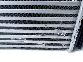 Nissan Juke II F16 Chłodnica powietrza doładowującego / Intercooler 144961019R