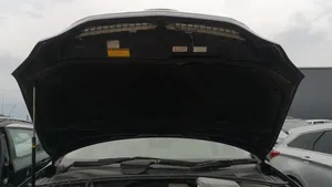 Lexus RX 330 - 350 - 400H Dangtis variklio (kapotas) 
