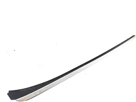 Hyundai Santa Fe Windshield trim 