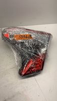 Toyota C-HR Lampy tylnej klapy bagażnika 81580F4010