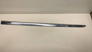 Chrysler Pacifica Front door trim (molding) 68228674AB