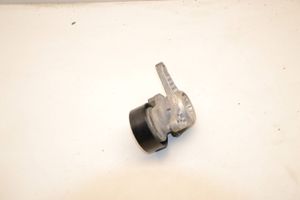 Volkswagen Golf VII Napinacz paska alternatora 04L903315K