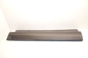 Toyota RAV 4 (XA40) Front door trim (molding) 7507342020