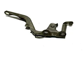 Toyota Verso Cerniere del vano motore/cofano 534200F030