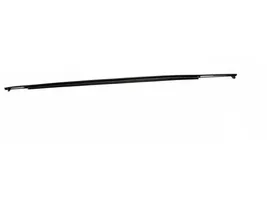 Toyota Verso Front door glass trim molding 757100F020