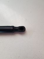 Volkswagen Sharan Tailgate/trunk strut/damper 7N082755004S