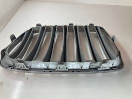 BMW X1 E84 Maskownica / Grill / Atrapa górna chłodnicy 10627110