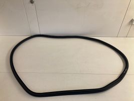 Citroen C4 II Picasso Rear door rubber seal (on body) 