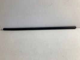 Citroen C5 Rear door glass trim molding 