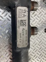 Citroen C4 II Picasso Tuyau de conduite principale de carburant 968529758002