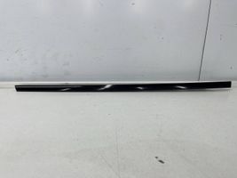 BMW X5 E53 Apdaila priekinių durų (moldingas) 