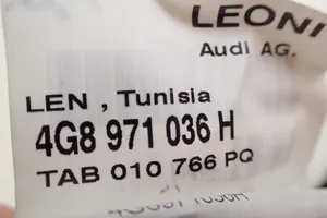 Audi A7 S7 4G Wiązka przewodów drzwi przednich 4G8971036H