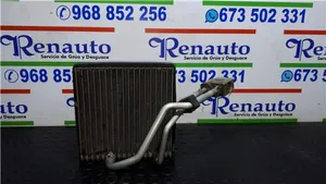 Seat Leon (1M) Oro kondicionieriaus radiatorius (salone) 