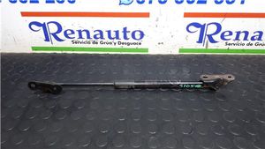 Toyota Auris E180 Ammortizzatore lunotto posteriore 68950-02130