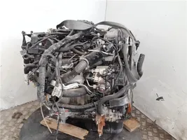 Ford Fiesta Silnik / Komplet CV1Q