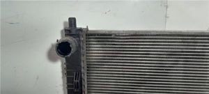 Mercedes-Benz A W169 Radiateur de refroidissement A1695000703