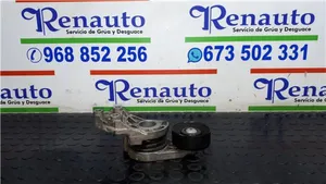 Volkswagen Polo IV 9N3 Tendicinghia generatore/alternatore 045903315A