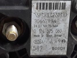 Volvo S60 Generatorius 30667894