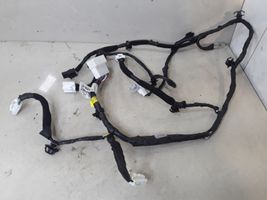 Hyundai Santa Fe Arnés de cableado de la puerta trasera/maletero 916802B020